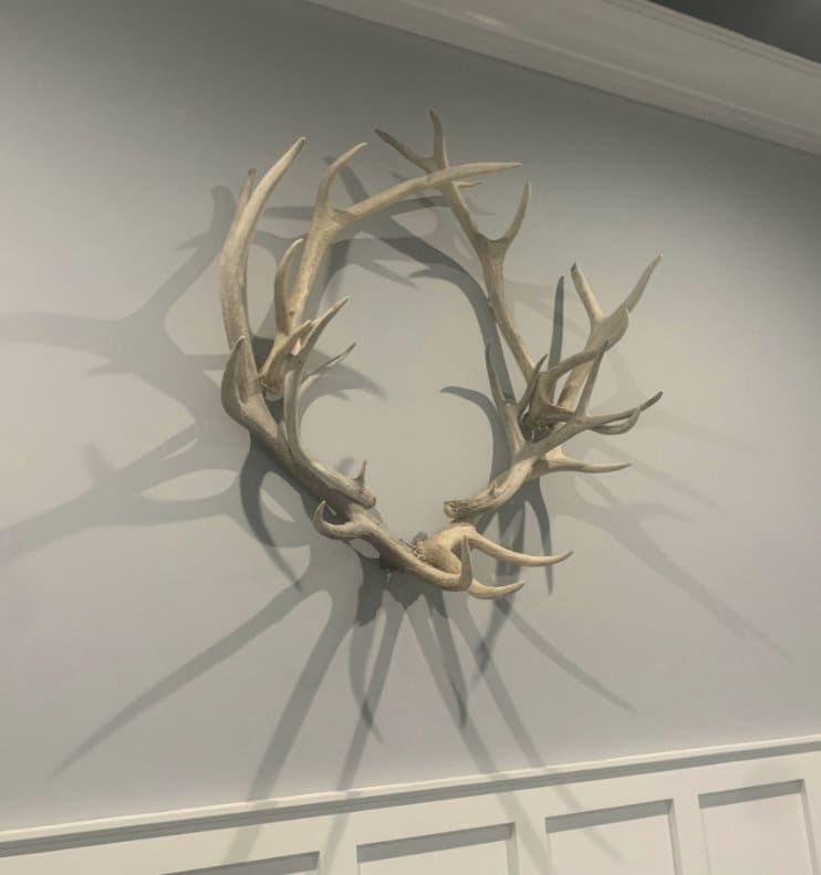 Elk and Deer Antler Wreath Garland Rustic Cabin Furniture Decor Real Antlers
