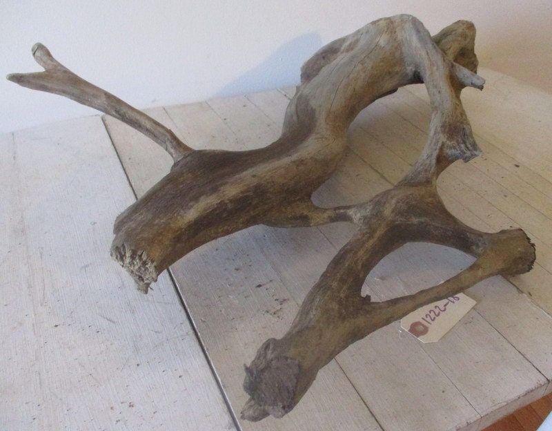 Gnarly Medium / Large Freshwater Driftwood Piece  root piece Gorgeous bends and turns Several end pieces have been cut 1222-18