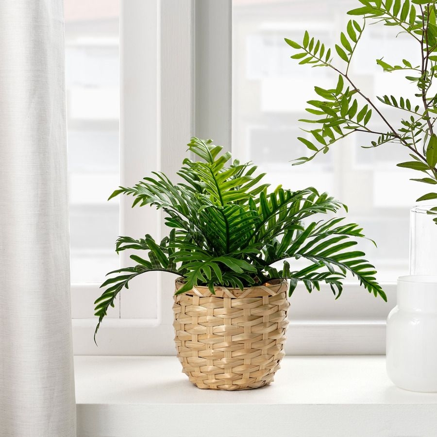 IKEA - FEJKA artificial potted plant, in/outdoor Whitley Giant, 9 cm