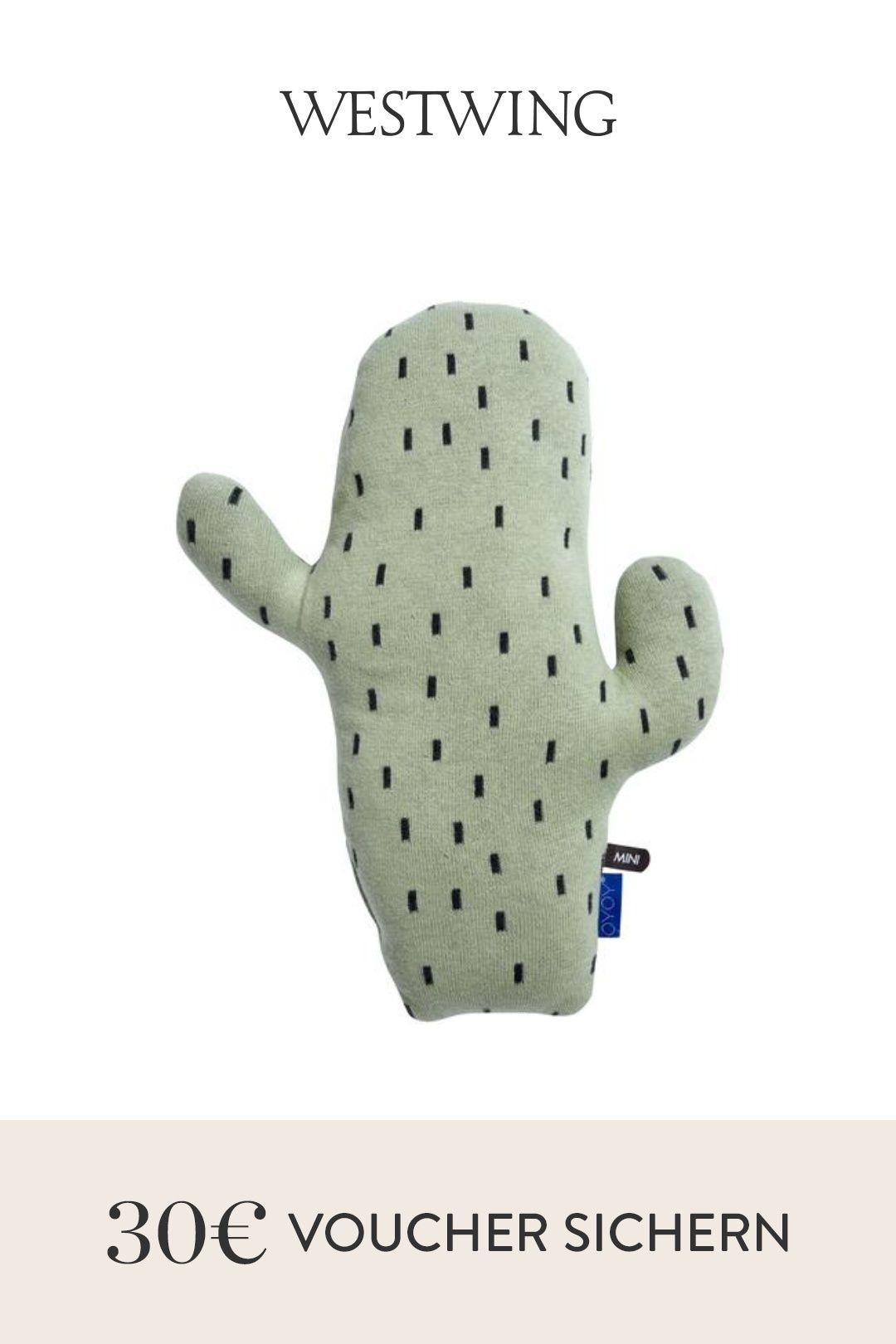 Kuschelkissen Cactus