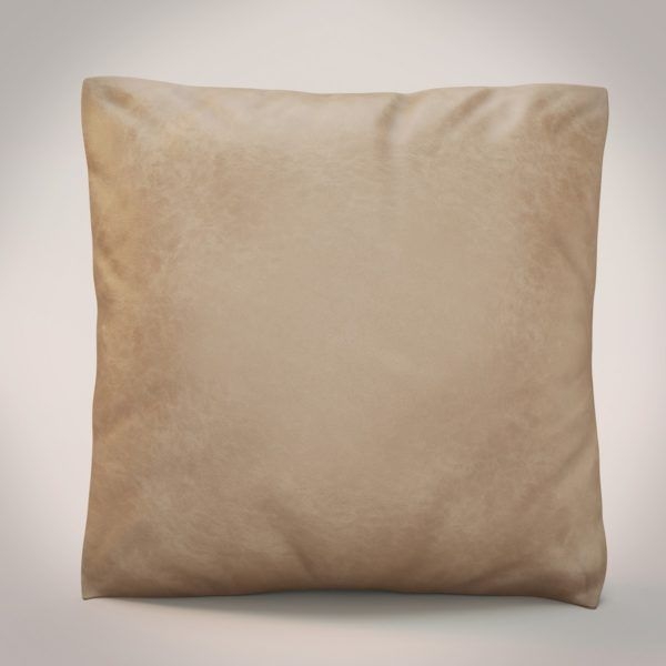 Leather Cushion