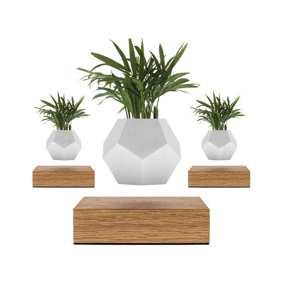 Lyfe Planter 3-Pack