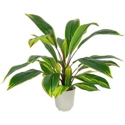 Northlight 25" Dracaena Artificial Potted Plant - Green/White