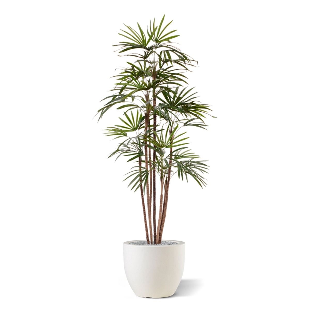 Planta Artificial Raphis Promo 170cm Palma