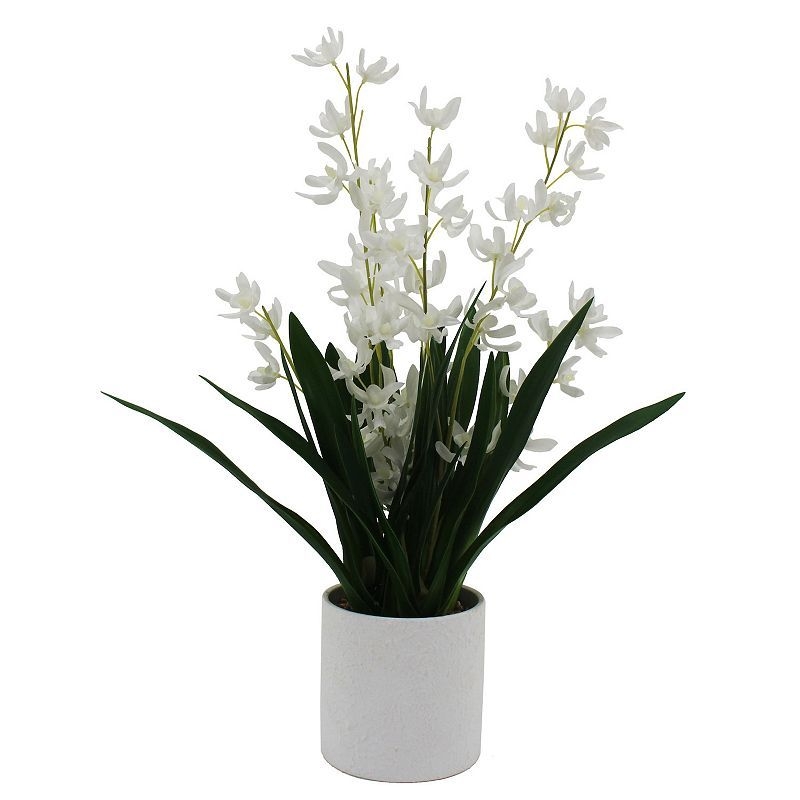 Sonoma Goods For Life Artificial Spider Orchid In Ceramic Pot Table Decor, Multicolor