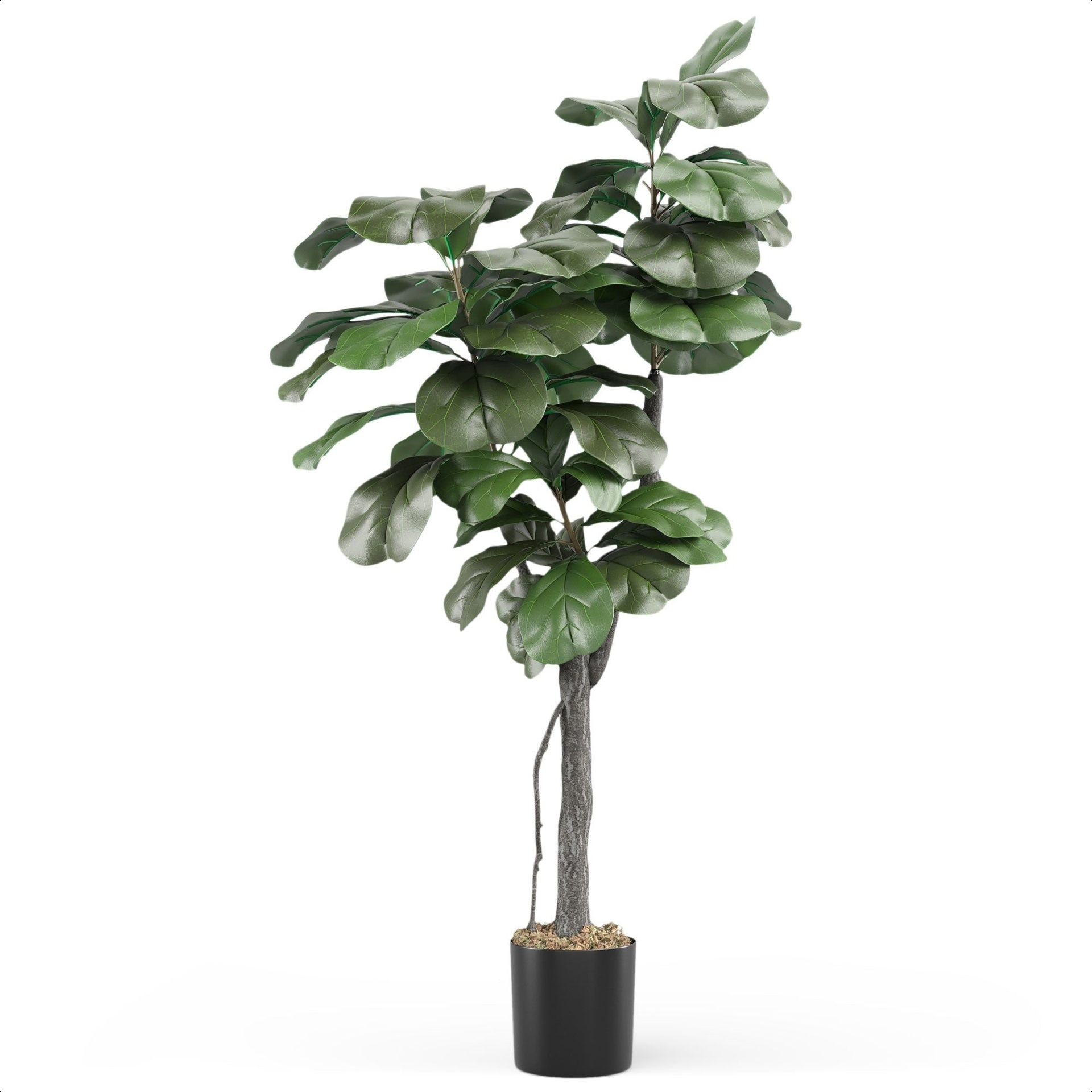 Faux Fiddle Leaf Tree, 5ft