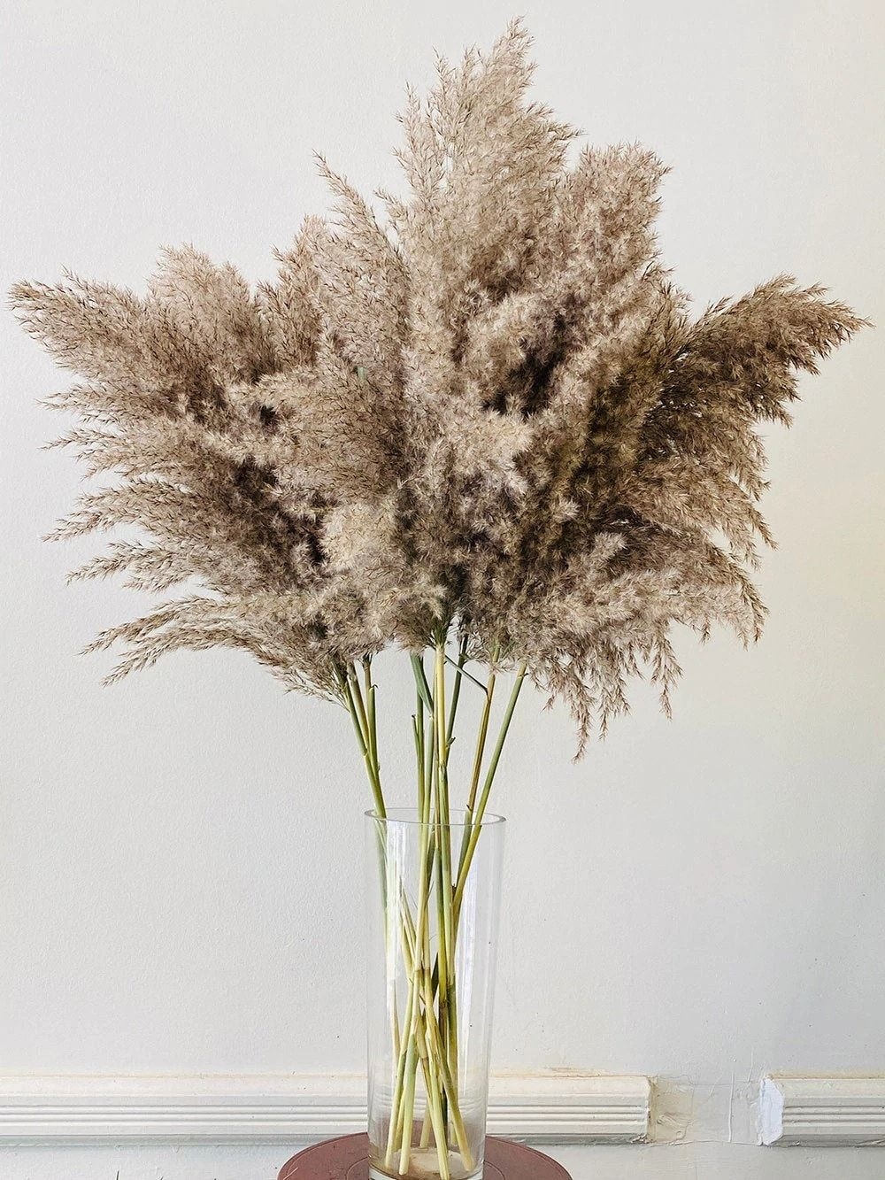 Pampas Grass Fluffy Decor Plants Home Wedding Decoration Dried Flowers Bunch Feather Flowers Natural Phragmites Tall 20-22''