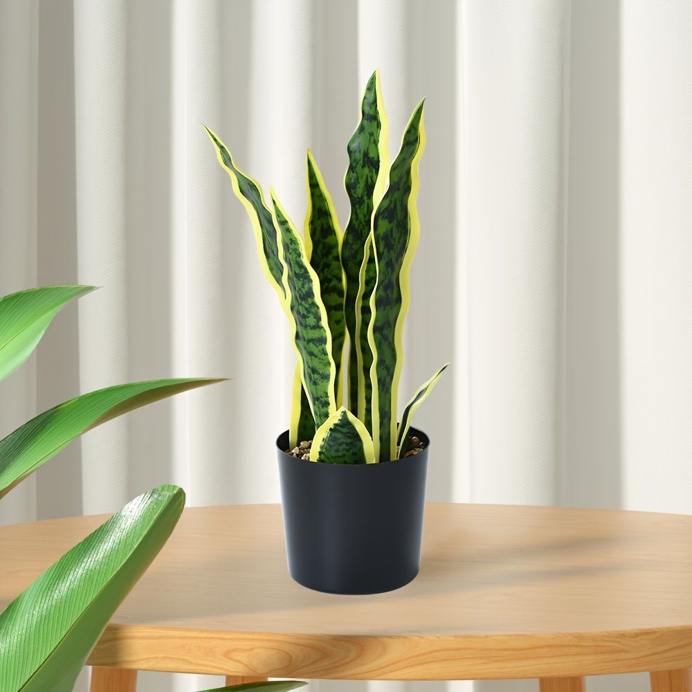 Se Pueden Colocar 1 Unidad, Lavabo De Plstico Recto, Orqudea Tigre, Decoracin Del Hogar, Colocacin De Escritorio, Floristera, Cafetera, Estudio Y Otras Escenas.