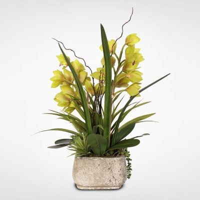 Williston Forge Cymbidium Orchid & Artificial Succulents Floral Arrangement in Pot in Gray/Green, Size 24.0 H x 15.0 W x 10.0 D in | Wayfair