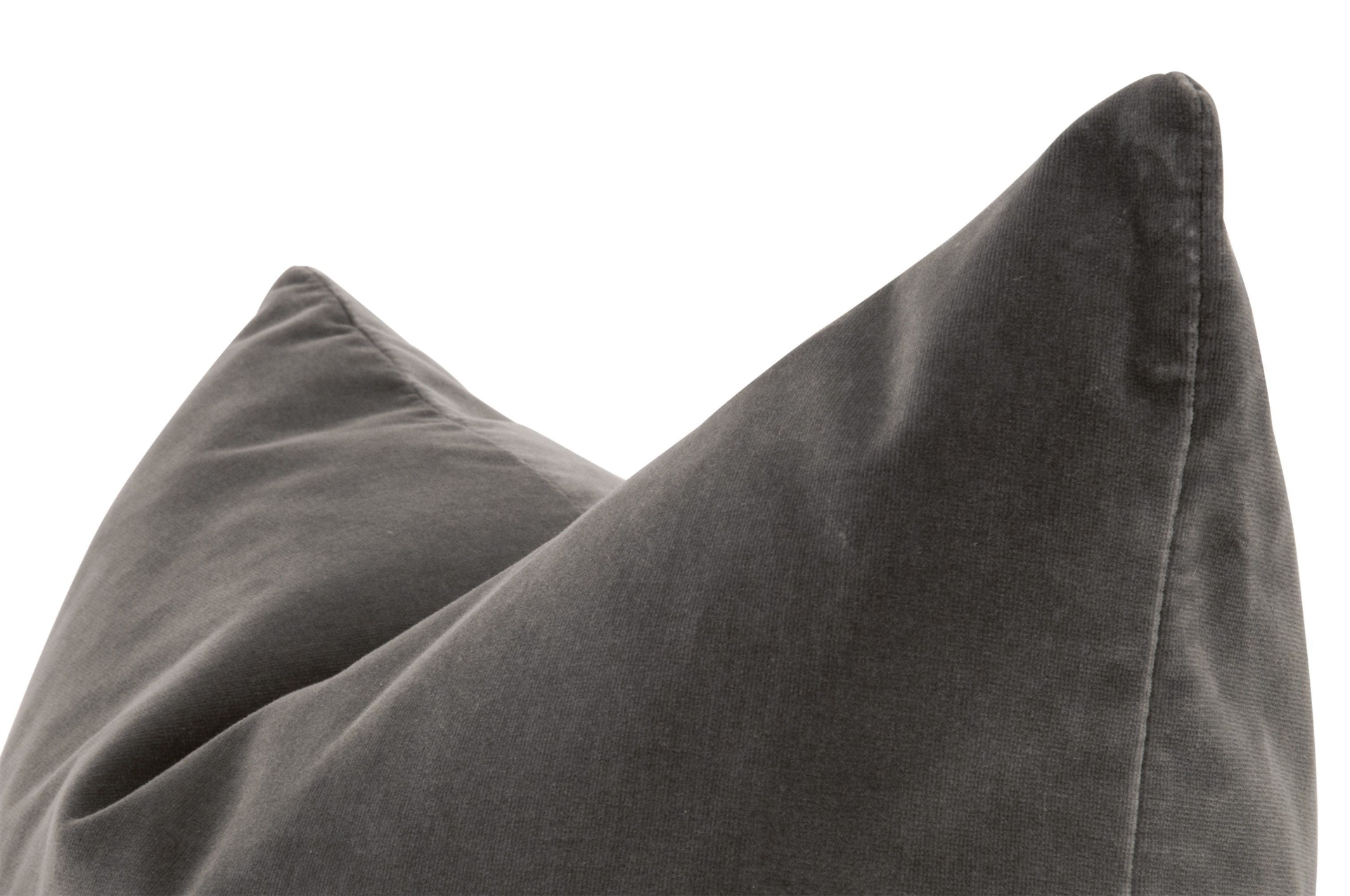 Dark Dove Euro Pillow - Set of 2