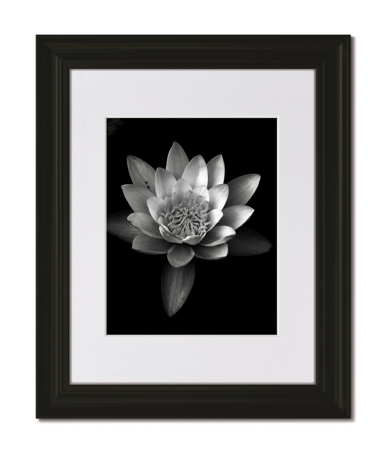 16x20 Classic Curved Black Frame With Glass & Single White Mat For 12x16