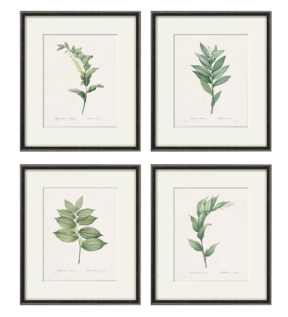 Botanical print set leaf art print French Botanical art print Cottage wall art leaf wall art plants art print botanical wall art leaf print