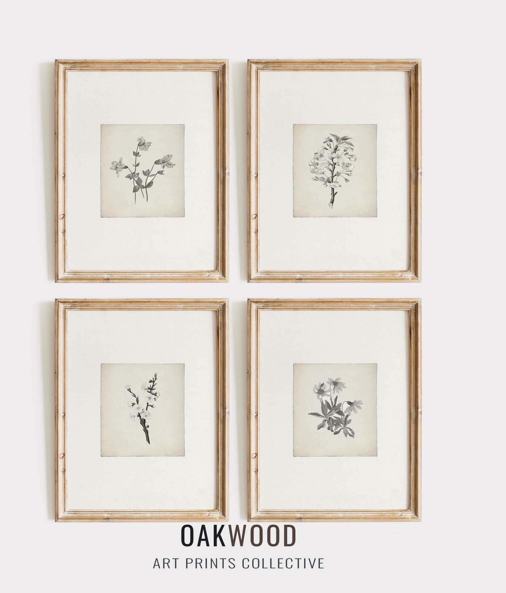 Botanical Print SET of Four Prints| Vintage Farmhouse Decor | Sketch Art | Oakwood Art Prints | PRINTABLE Digital Download | OWP-S4