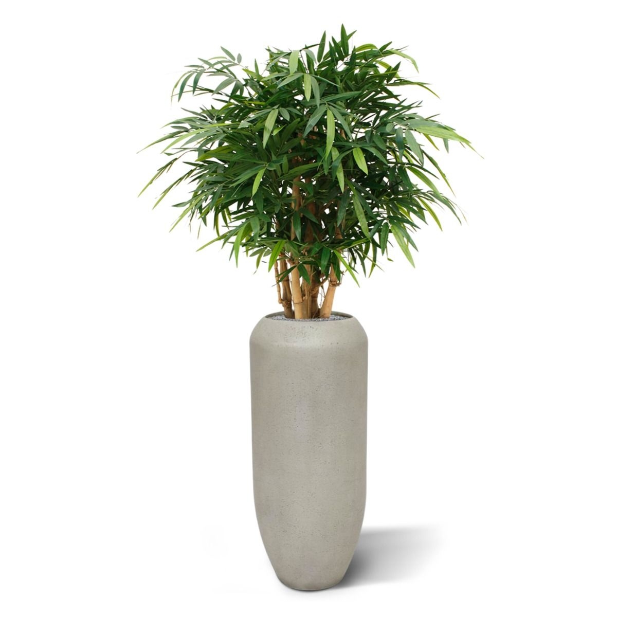 Buddha Bamboe Deluxe kunstplant 125 cm - 100% Tevredenheidsgarantie