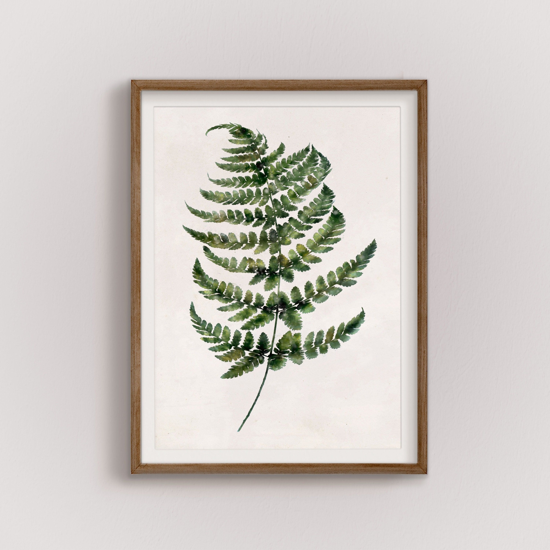 Fern wall art, botanical art print, botanical download, herb art digital, wildflower wall decor, fern painting art, vintage botanical print