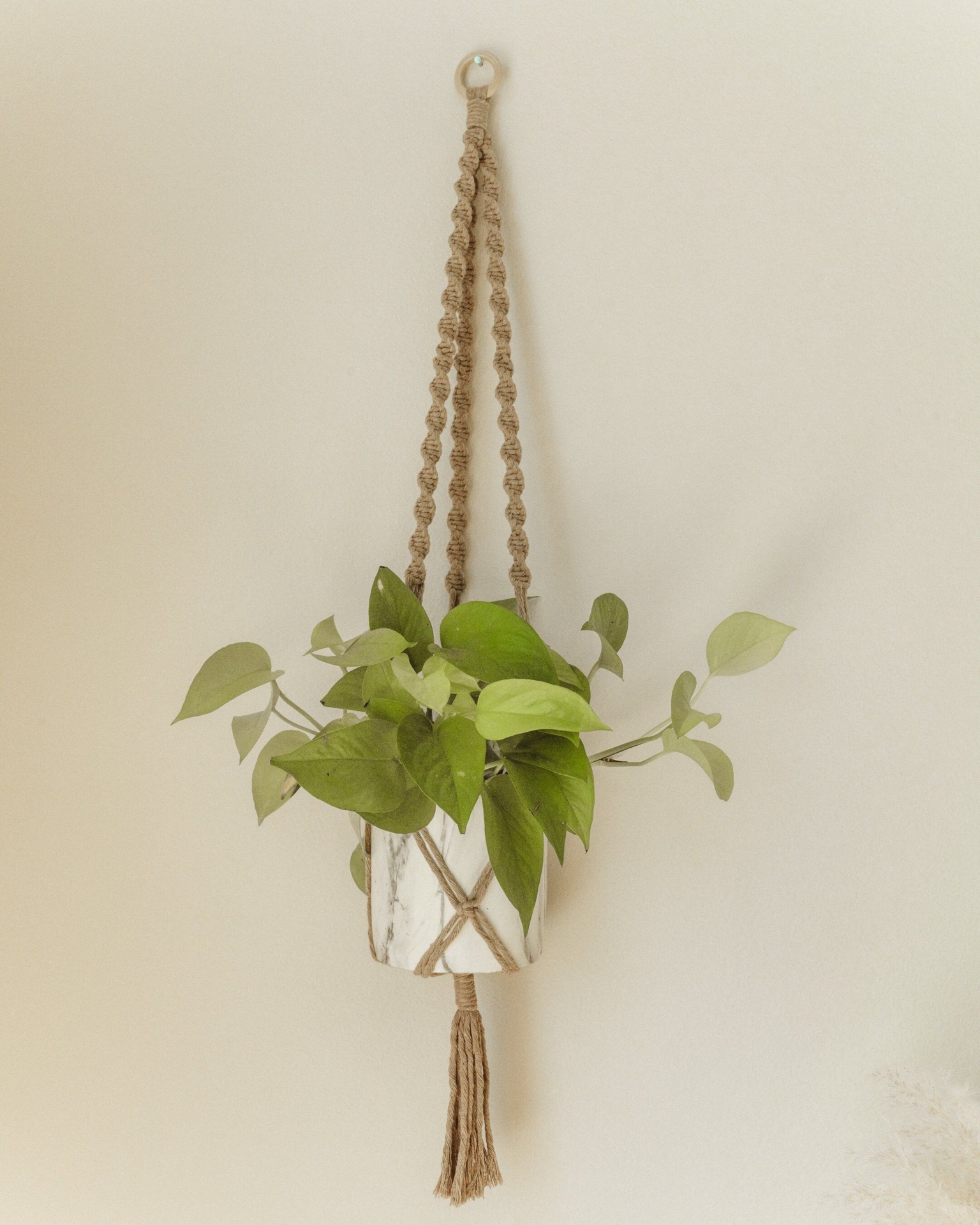 Large Macrame Plant Hanger - multiple color options *plant & pot not included*