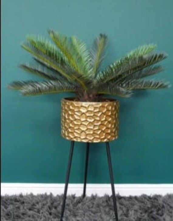 Large Tall Gold Metal Geometric Honeycomb Pattern House Plant Flower Pot Display