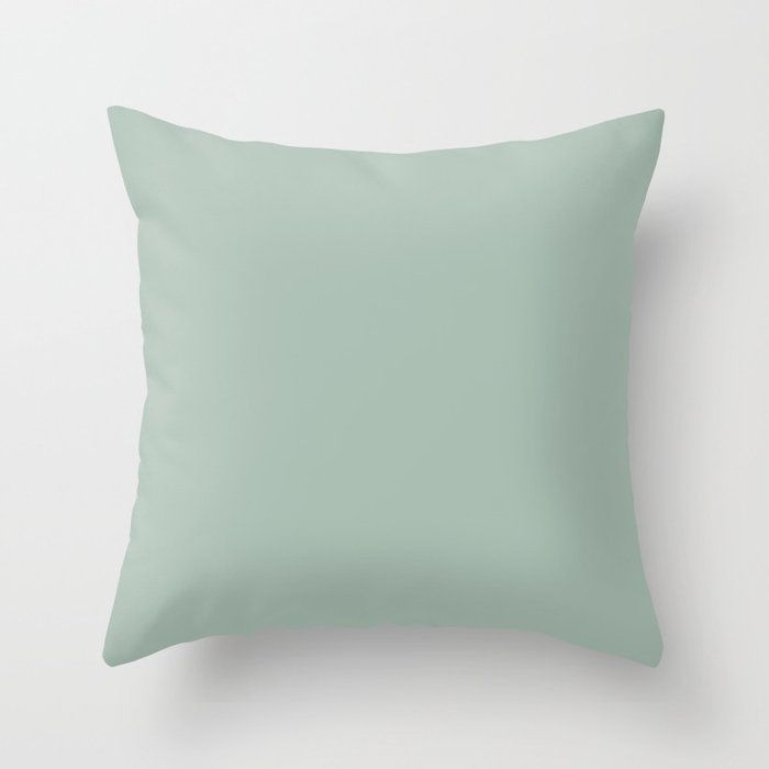 Light Gray-green Solid Color Pantone Silt Green 14-5706 Tcx Shades Of Green Hues Throw Pillow - Cover (16" x 16") With Pillow Insert - Indoor Pillow