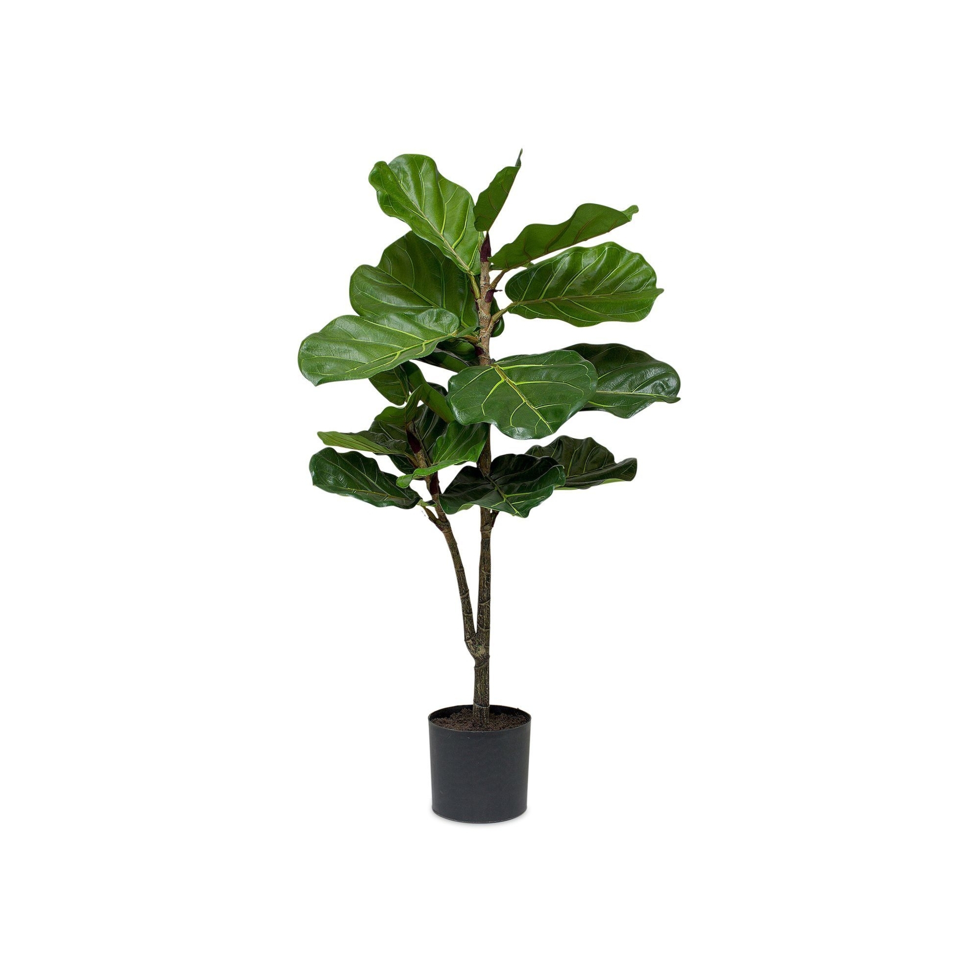 Melrose Potted Faux Fiddle Leaf Fig, Green
