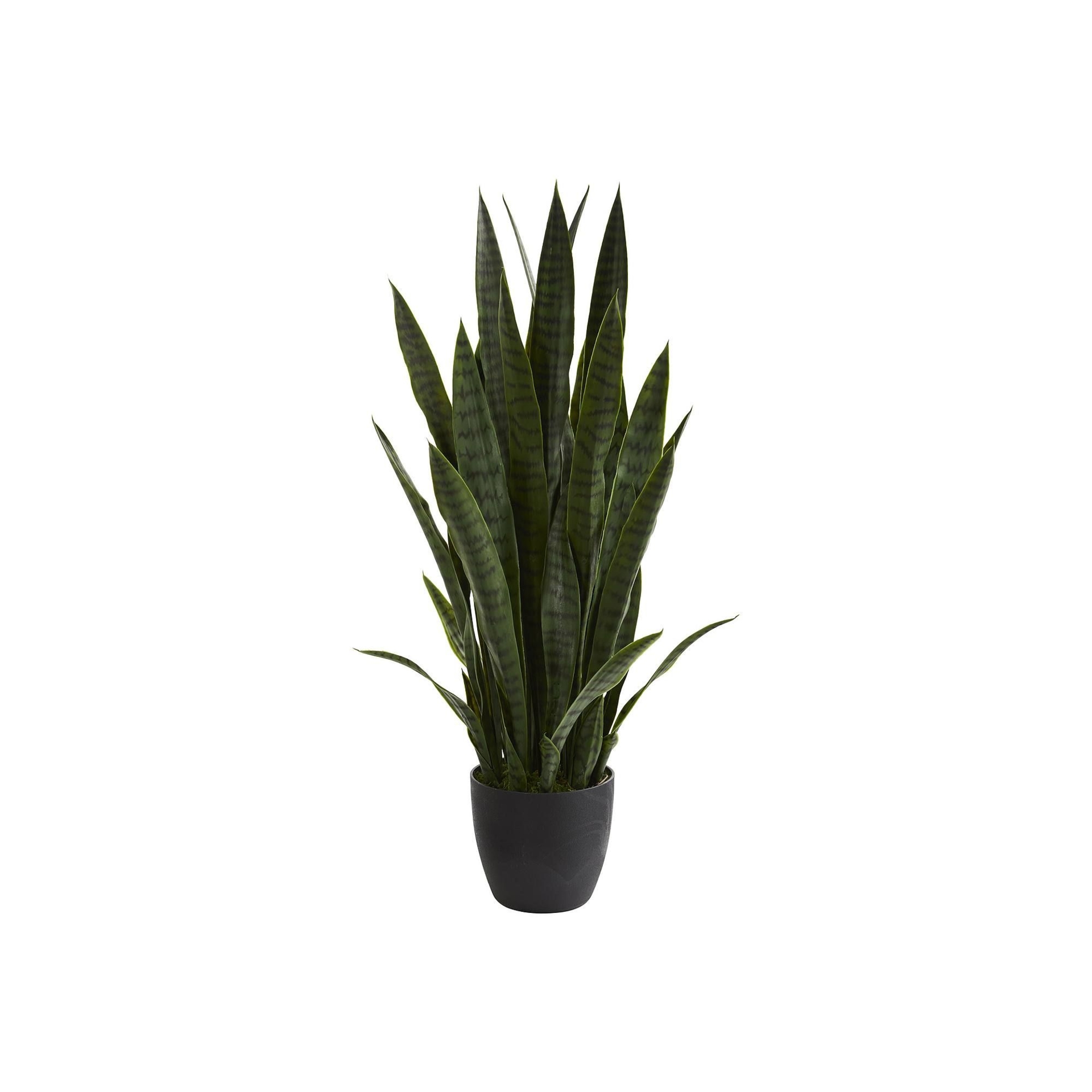 nearly natural 38-in. Sansevieria Artificial Plant, Green