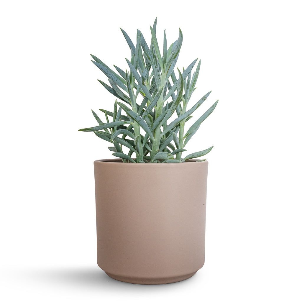 Prague Plant Pot - Taupe - 13 x 13cm