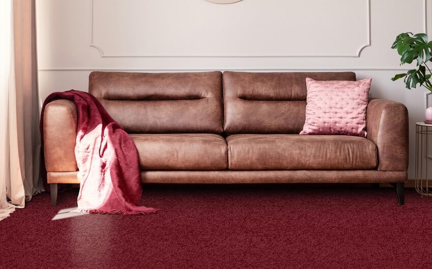 ScS Living Sagrada Carpet