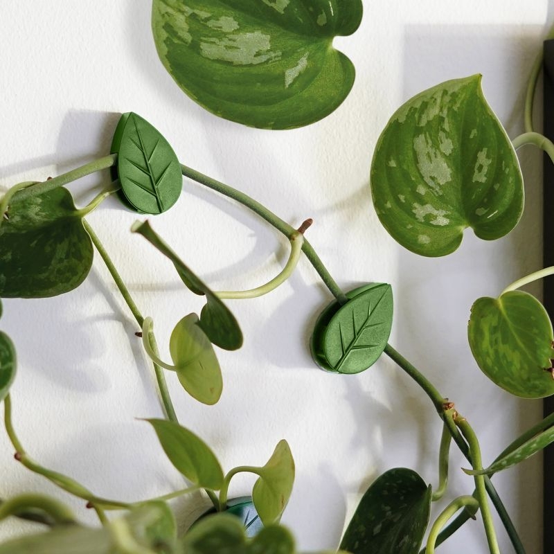 Bubblegum Stuff Houseplant Climbing Clips, Multicolor
