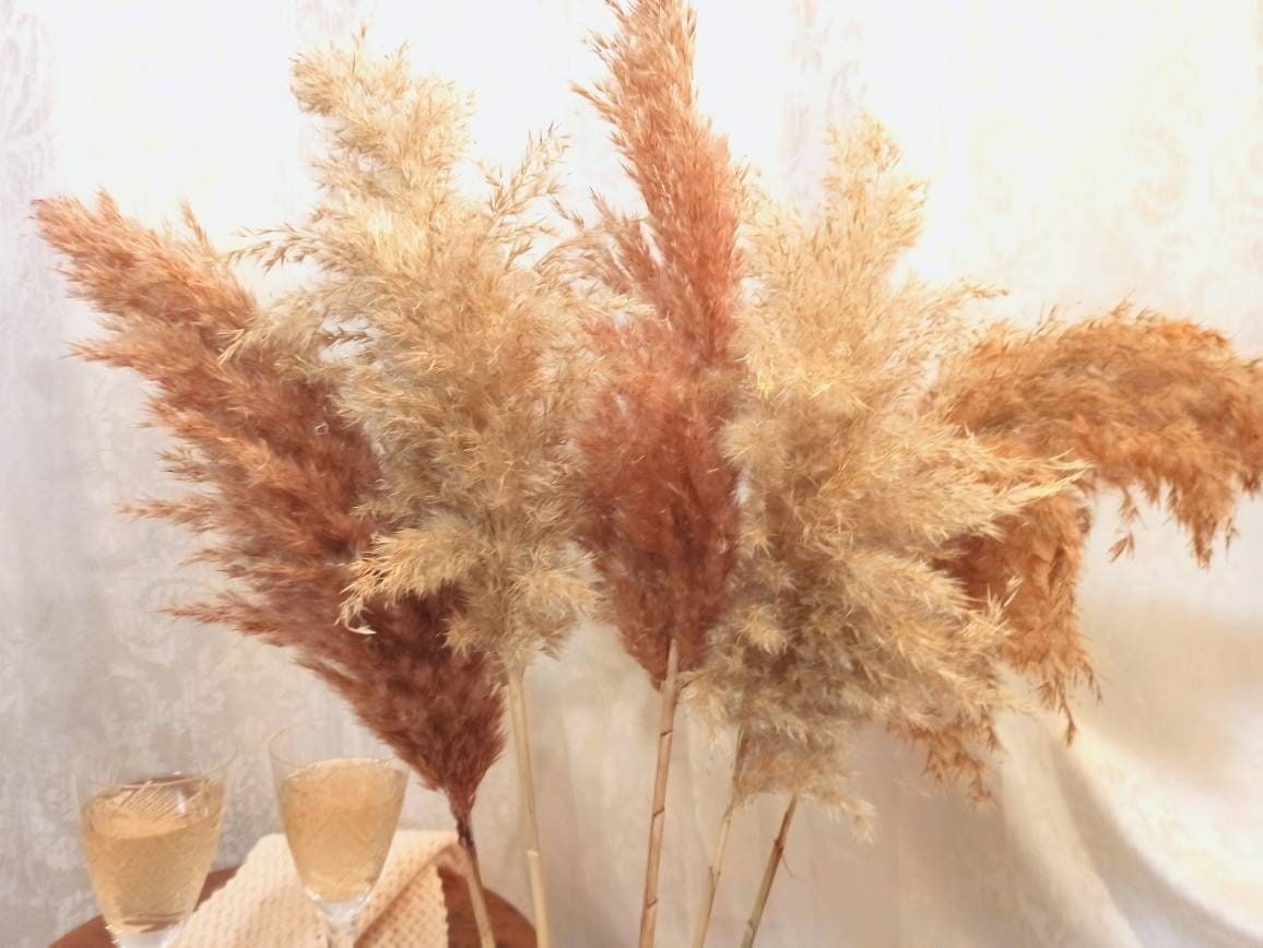 MIX Pampas Grass Champagne, Ivory-Peach-Apricot Colored,Dried Natural Table Flowers Arangement,Feather Grass,Tall Vase,Wedding Decor