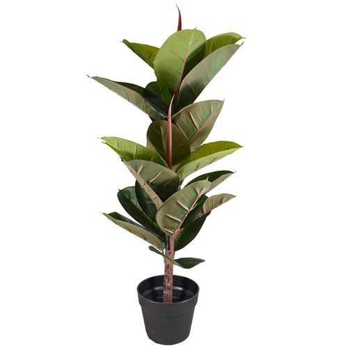 80cm Potted Faux Rubber Tree  - Temple & Webster