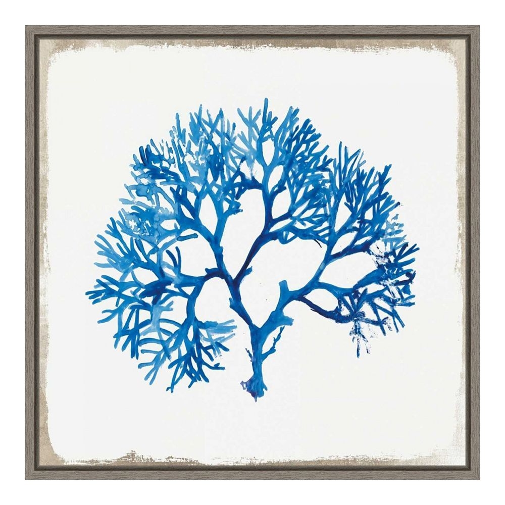 Amanti Art Blue Coral I Framed Canvas Print, Grey, 16X16