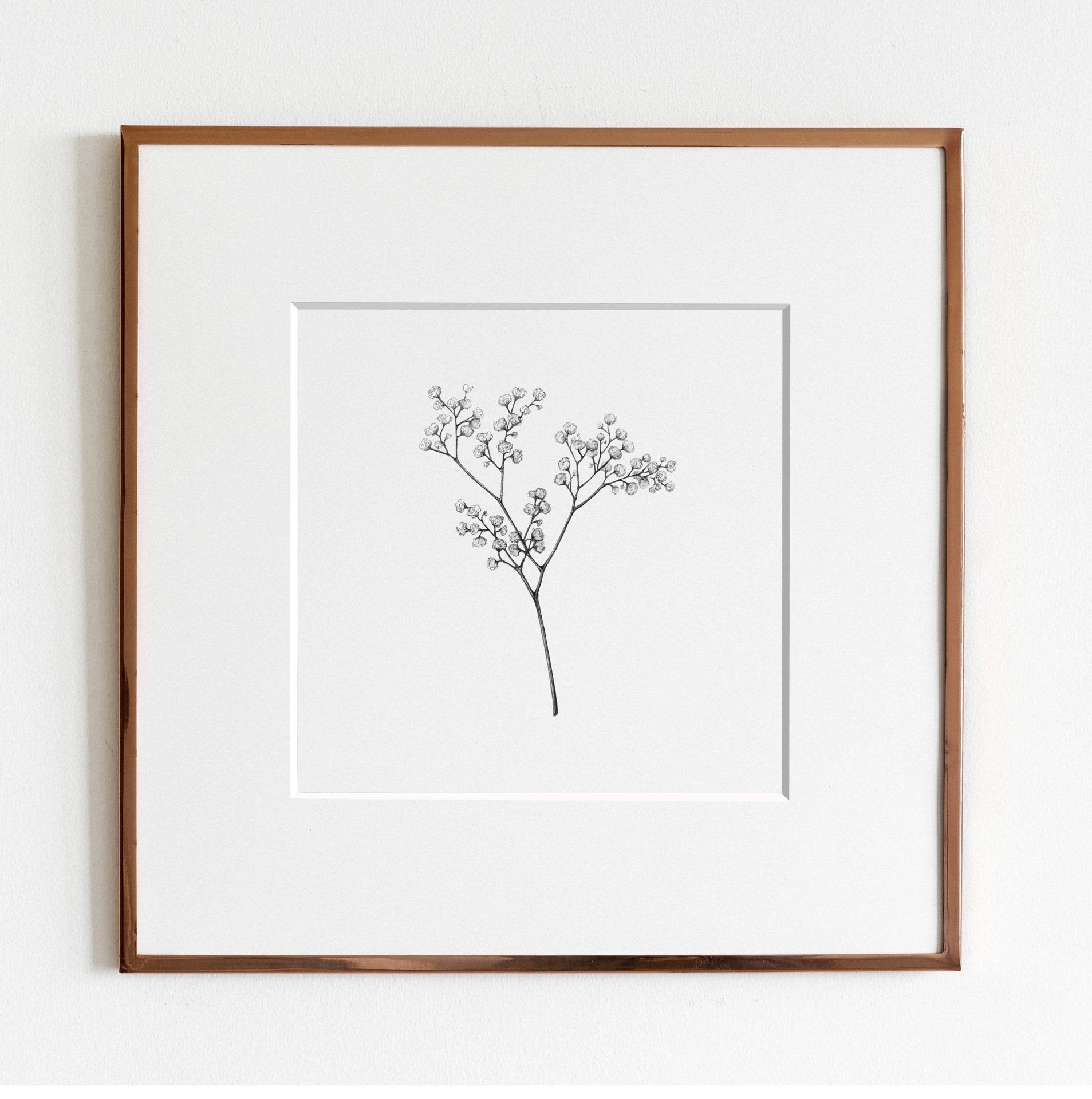 Baby's Breath Art Print