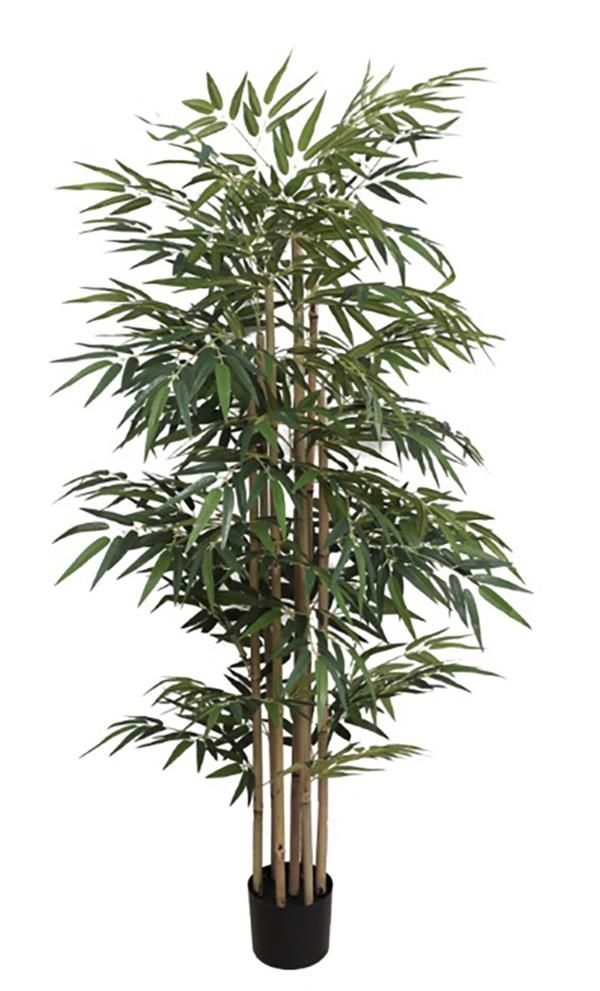 BAMBOO  NP828_210_UV   210cm NewPlan
