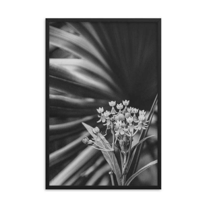 Bloodflowers and Palm Black and White Framed Wall Art Print - Red Oak / 810