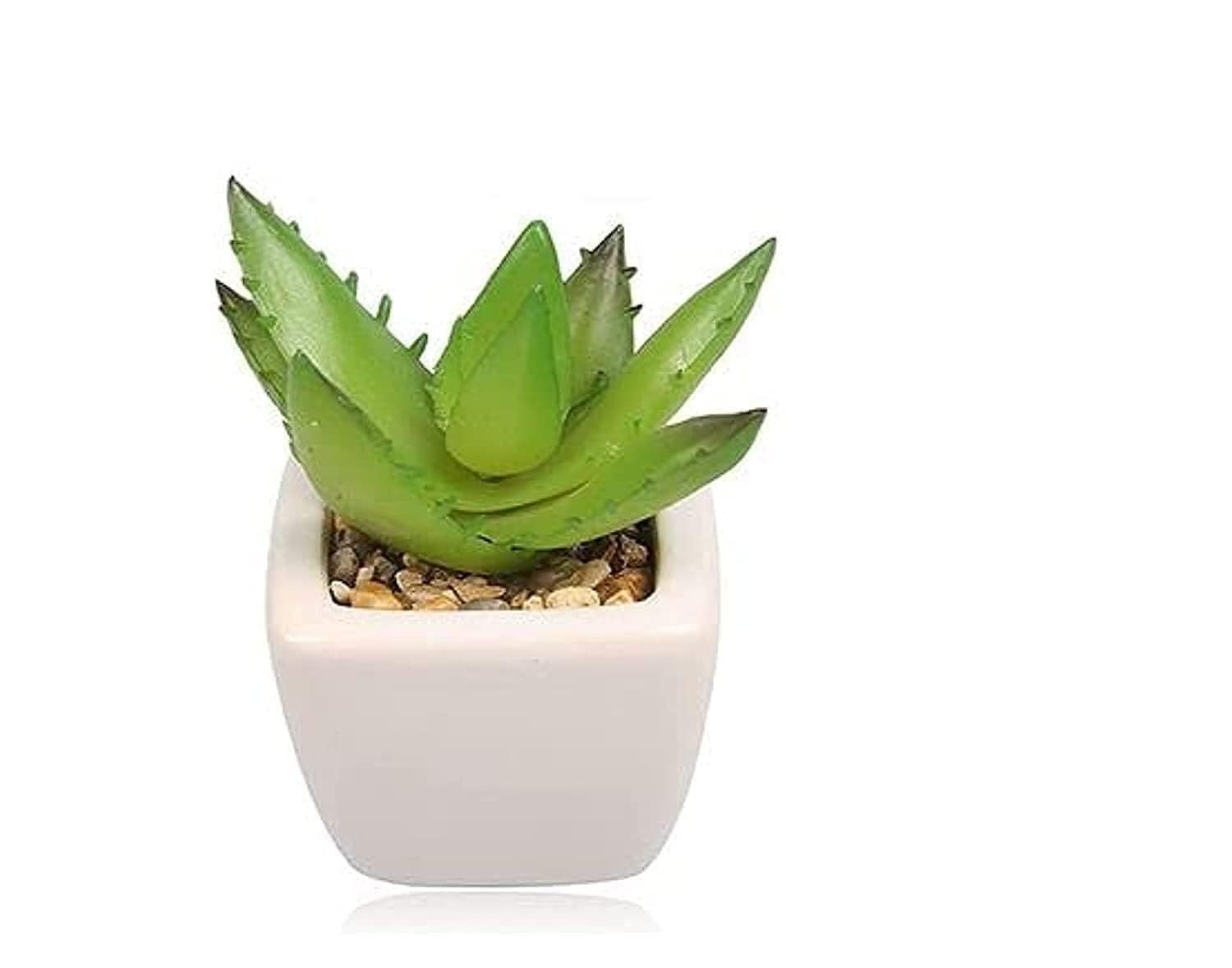 Briful Faux Succulents in Pots Set of 2 Succulents Artificial Plants Indoor Fake Plants Decor with Glass Pots for Modern Home Table Office Desk Bathroom Shelf Decor
