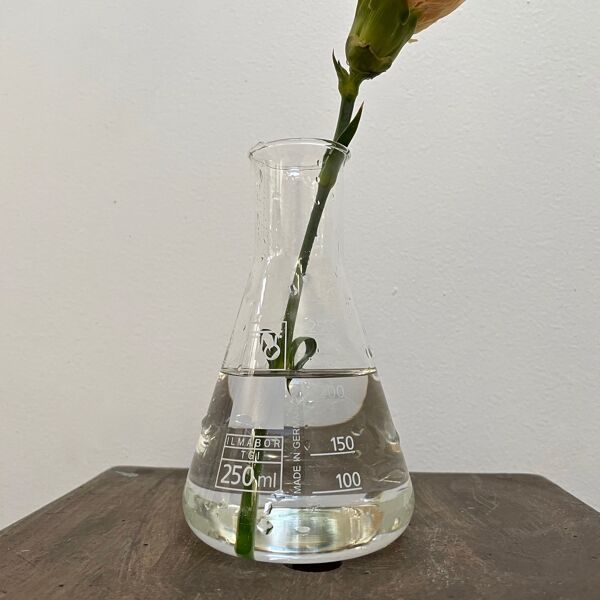 Carafe de chimie 250ml ilmabor tgi