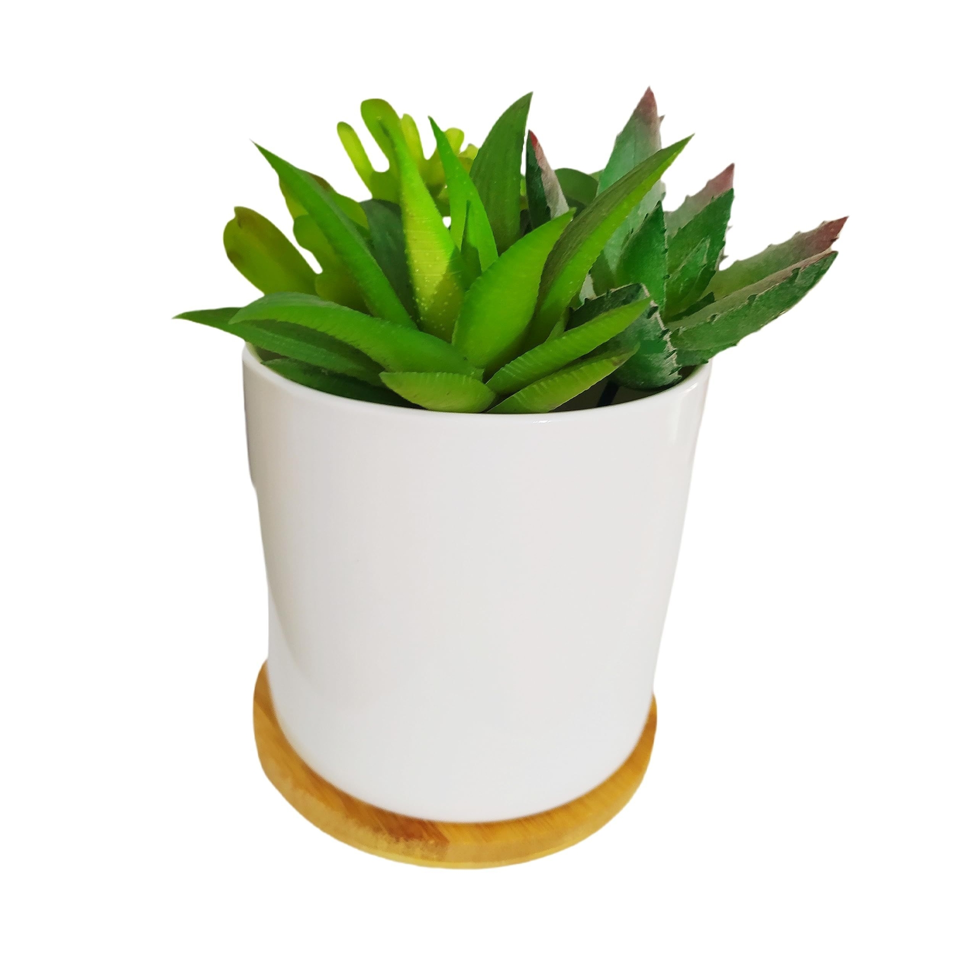 Everyday Better Life Cute Cylindrical Shaped Modern Home Garden Decoration Succulent Cactus Ceramic Flower Pots with Bamboo Tray - Plants Not Included (3.54 Inches)