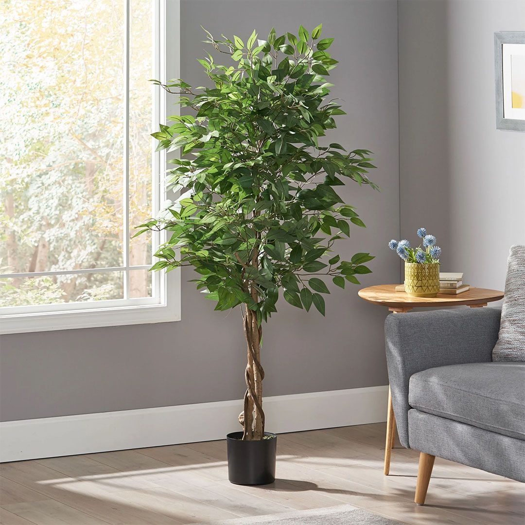 FICUS TREE NP0078_120   Y 120cm NewPlan