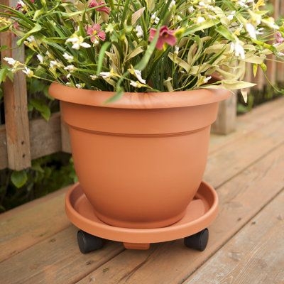 Hashtag Home Cordeiro 1 - Piece Self-Watering Pot Planter Plastic in Brown, Size 17.0 H x 21.5 W x 21.5 D in | Wayfair