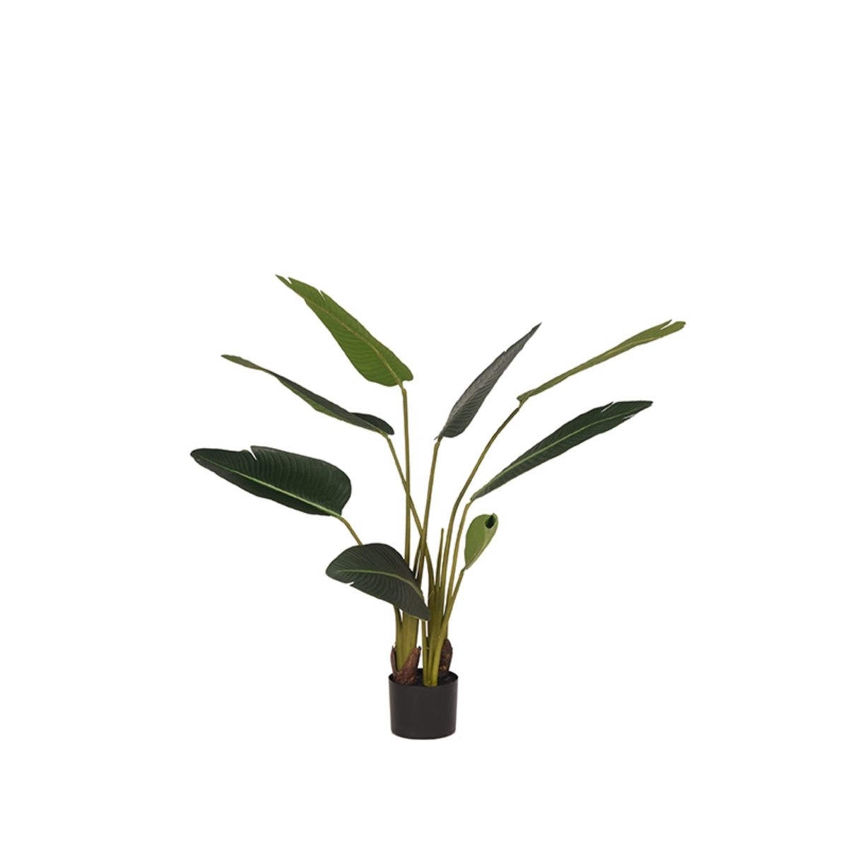 LABEL51  Strelitzia - Groen - Kunststof - 100 cm