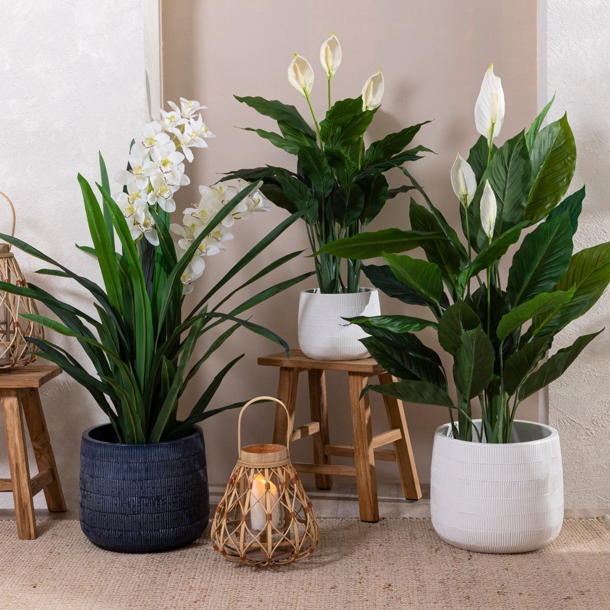 MUSE Webster Ceramic Planter