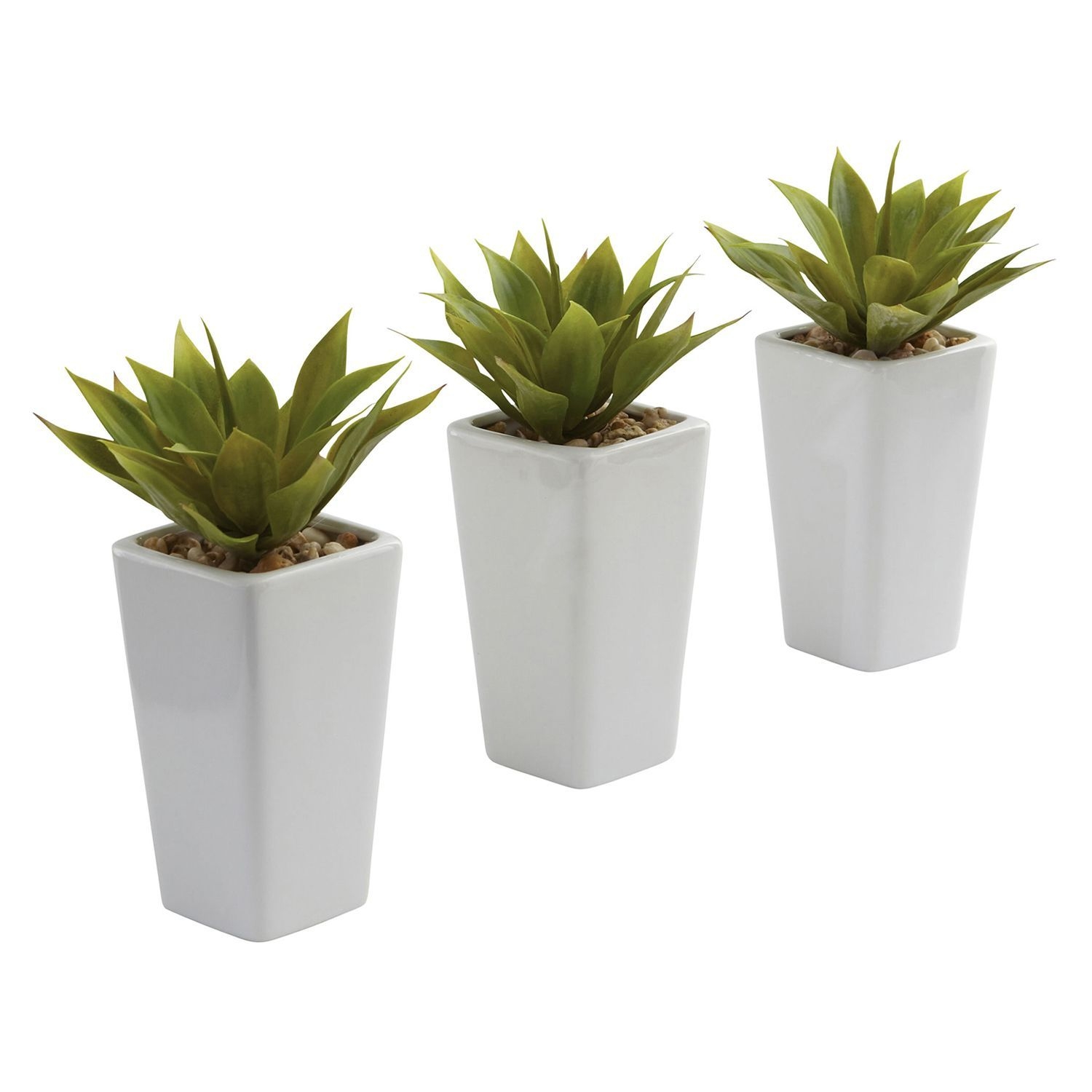 nearly natural Artificial Mini Agave Arrangement 3-piece Set