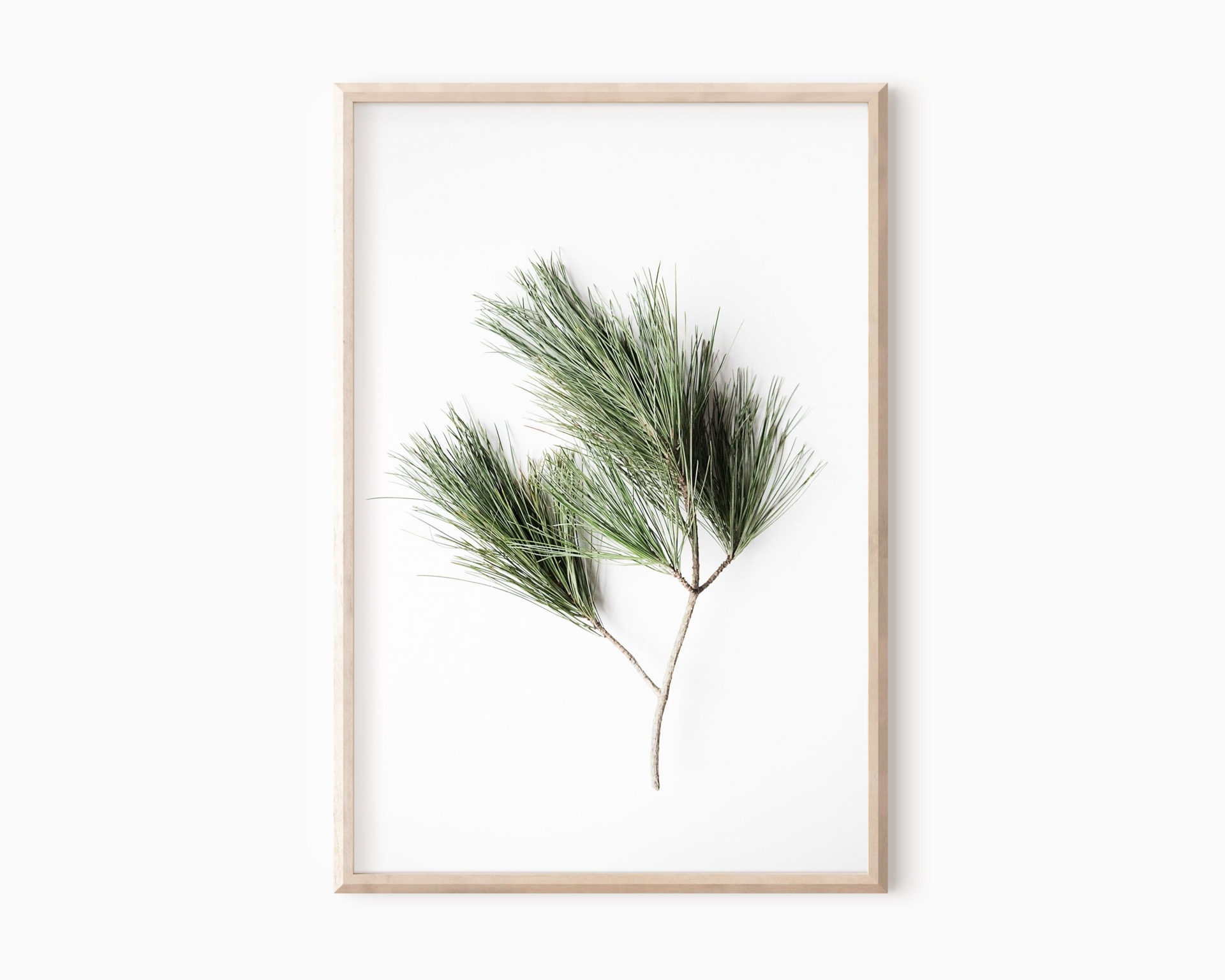 Pine Branch Print | Minimalist Wall Decor | Tree Branch Art | Forest Photography Printable Art   #1156
