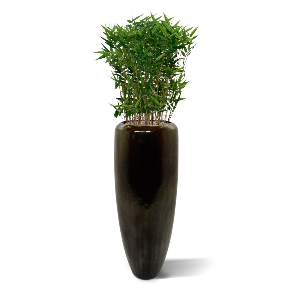 Planta Artificial   De Bambu Oriental 70cm