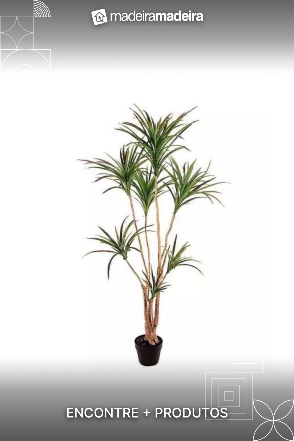Planta rvore Artificial Dracena Marginata Verde Vermelho 1,5m