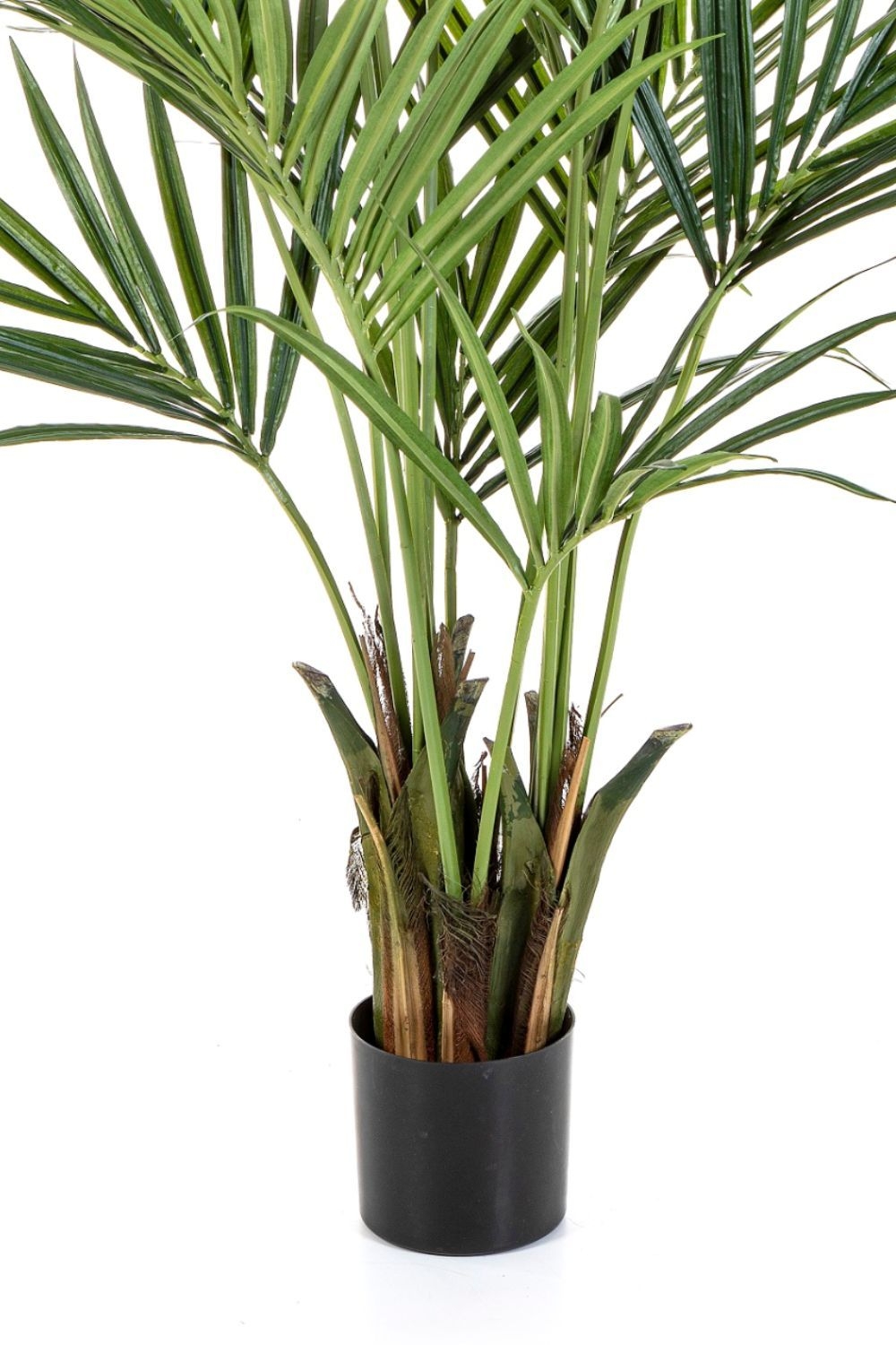 Pre-Order Kentia Kunstpalm 180cm