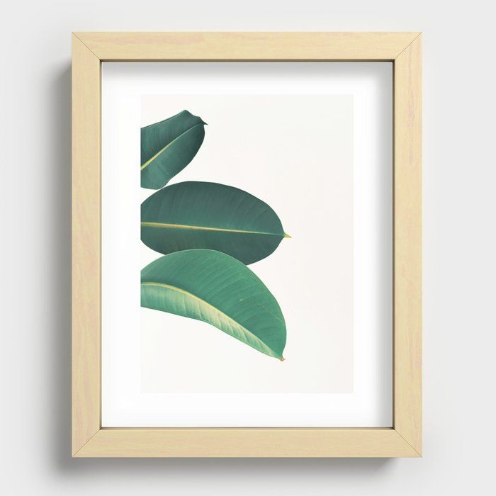 Recessed Framed Print | Rubber Fig Leaves Ii by Cassia Beck - Maple - 8" x 10" - Society6