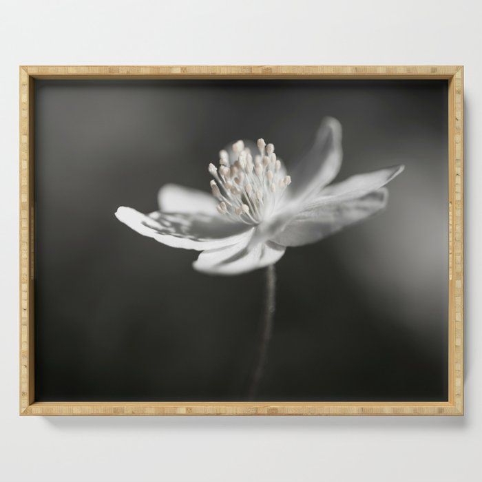 Serving Tray | White Anemone Flower In Black And White by Pivi Vikstrm - 18" x 14" x 1.75" - Society6