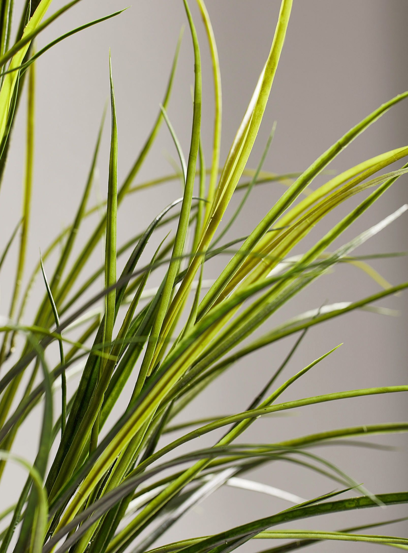Simons Maison - Artificial river grass green plant (Home, Green)