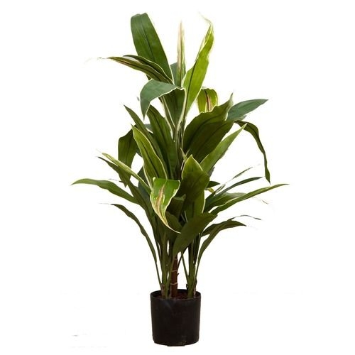 75cm Green & Yellow Artificial Cordyline Plant  - Temple & Webster