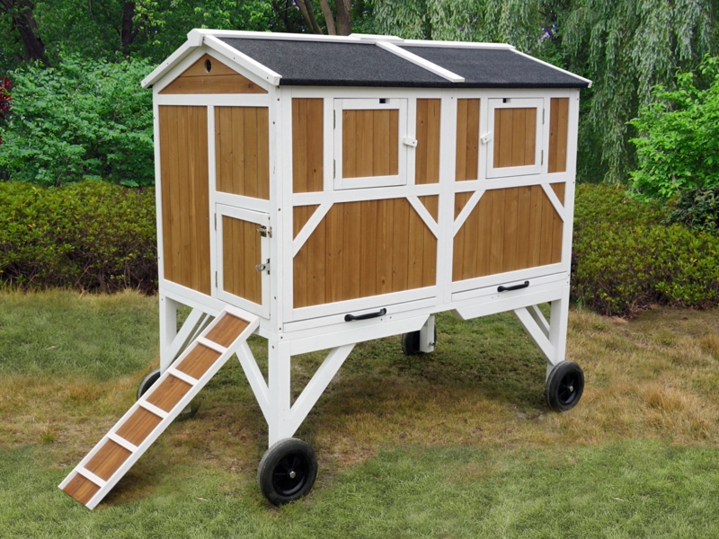 Ansel 11.47 Square Feet Chicken Coop with Nesting Box For Up To 12 Chickens